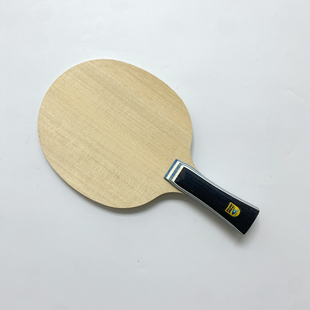 Lemuria VIS Carbon Fiber Table - Table Tennis Joola recensione e prezzo