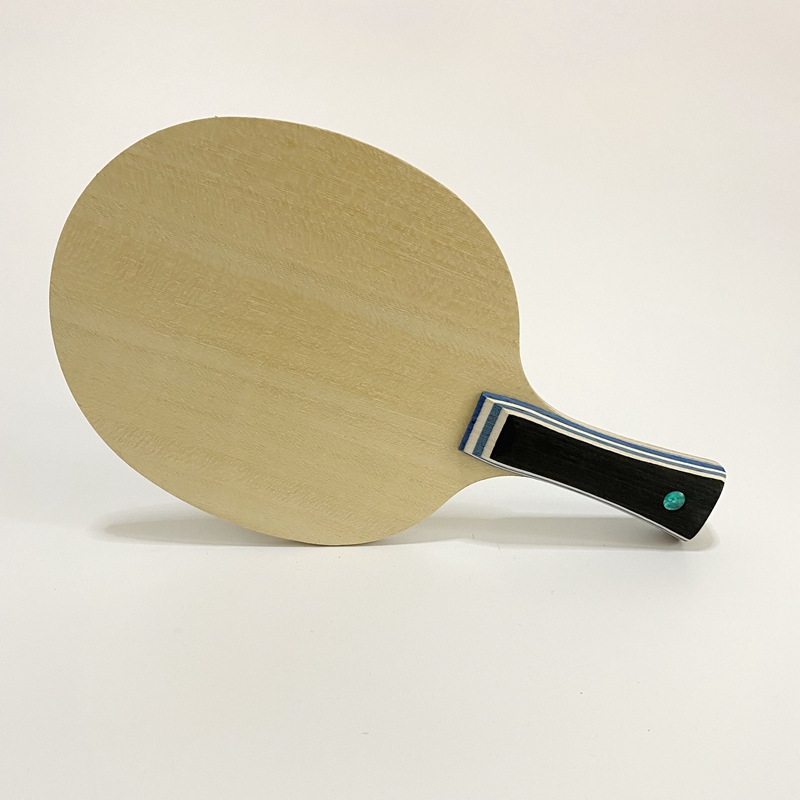 Lemuria VIS Carbon Fiber Table - Table Tennis Joola recensione e prezzo
