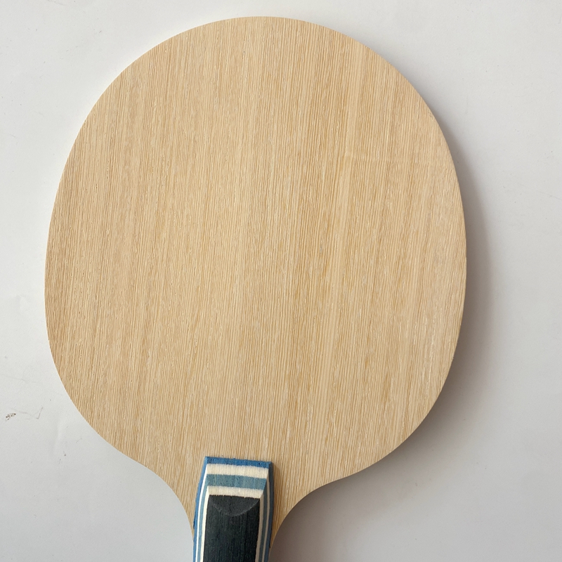 Lemuria VIS Carbon Fiber Table - Table Tennis Joola recensione e prezzo