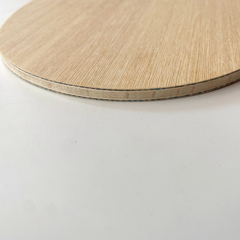 Lemuria VIS Carbon Fiber Table - Table Tennis Joola recensione e prezzo